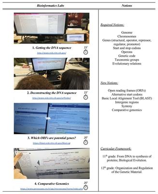 Bioinformatics-Based Activities in High School: Fostering Students’ Literacy, Interest, and Attitudes on Gene Regulation, Genomics, and Evolution